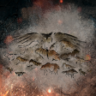 Menagerie Trophy