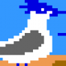 Block of Seagulls Trophy