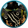 Wilderness Wanderer Trophy