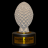 Against All Odds Trophy