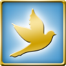 Pigeon Trophy