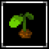 Moondew Valley Trophy