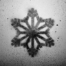 Diary: Effing Snow Trophy