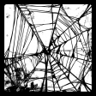The Web Trophy