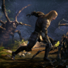 Daggerfall Master Explorer Trophy