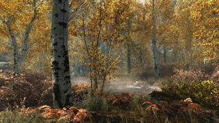 The Elder Scrolls V: Skyrim Special Edition Screenshot 2