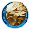 THE RED KITE Trophy