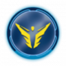 WINGMAN Trophy