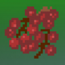 Blood of the Dragon Trophy
