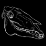 Rage Trophy