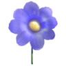 Nature Trophy