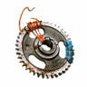 Assassin Trophy