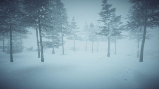 Kona Screenshot 2