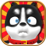 Social cow husky Trophy