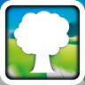 Complete The Forest World Trophy