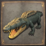 Croc Survivor Trophy