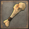 Swiss-army Sheldon Trophy