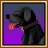 Teach An Old Dog New Tricks Trophy