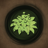 Persistent Parasite Trophy