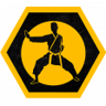 Karate Purist Trophy