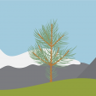 Earn 5000 coins Trophy