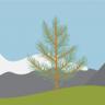 Earn 6000 coins Trophy