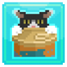 Catman Trophy