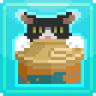 Catman Trophy