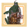Sick of Fish Trophy