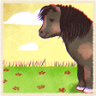 REALLY Horsing around Trophy