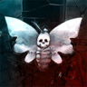 Moth Trophy
