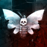 Moth Trophy