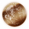 Run N' Gun Specialist Trophy