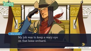 Phoenix Wright: Ace Attorney Trilogy Screenshot 5