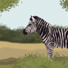 The Zebra Z Trophy