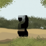 There are 3 species of zebra in the wild Trophy