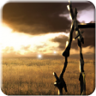 Illusionary World Trophy