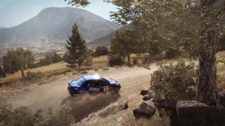 DiRT Rally Screenshot 2