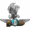 Flying Warrior Trophy