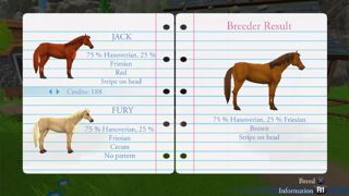My Riding Stables - Life with Horses Screenshot 4