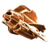 Bonus! Trophy