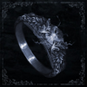 A Gravitational Grasp Trophy