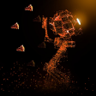 Butterfly Dream Trophy