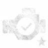Expert Mechanic Trophy