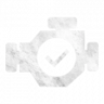 Mechanic Trophy