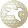 I Thought Albatross Were Only in the Ocean Trophy