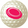 United We Play Golf, Divided We Play Frisbee Golf Trophy