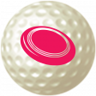 United We Play Golf, Divided We Play Frisbee Golf Trophy