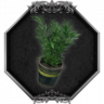Frugalist Trophy