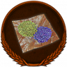 The Basics of Survival Trophy
